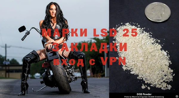 ALPHA PVP Елизово