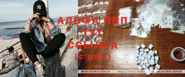 ALPHA PVP Елизово